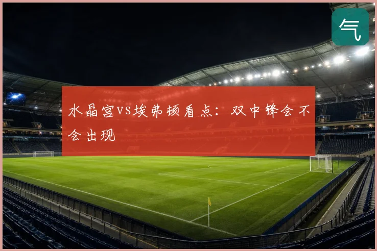 水晶宫vs埃弗顿看点:双中锋会不会出现